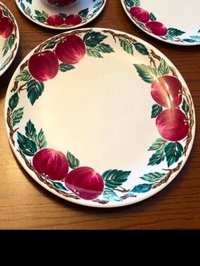 Bella Roma Dinner Plate Nancy Calhoun Farmhouse Apple Vintage China